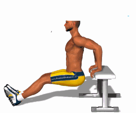 7个高效燃脂的动作分享 减肥怎么运动瘦的效果好