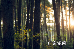 抖音小店创建商品审核不通过怎么办？不显示评价咋办？