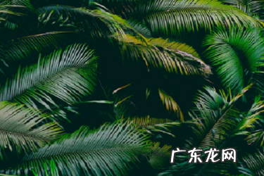 抖音违规了多久能正常?封号如何处理?