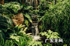 抖音开店铺需要多少押金？保证金怎么退？