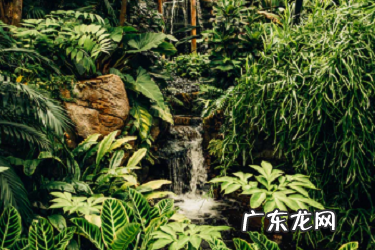 抖音开店铺需要多少押金?保证金怎么退?