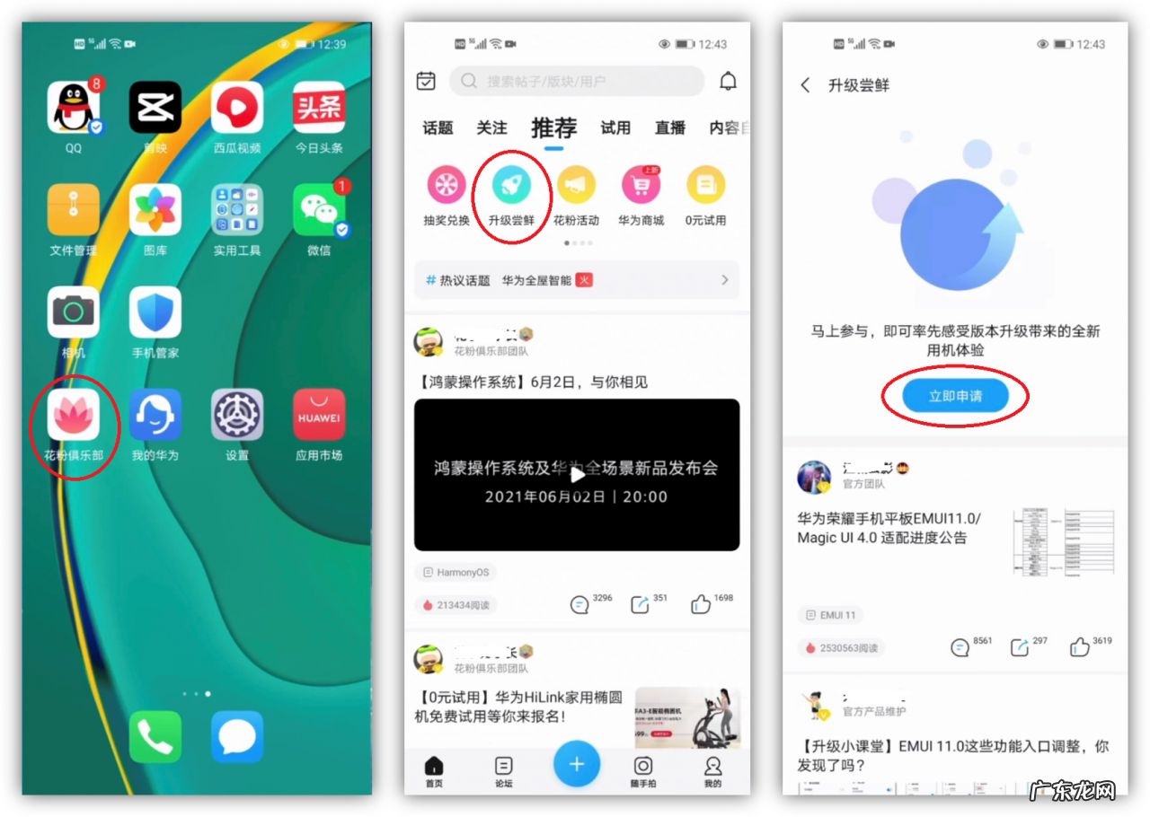 华为鸿蒙系统升级方法汇总,鸿蒙系统到底怎么样？