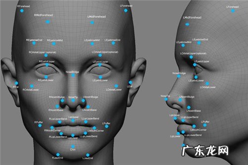 六大生物识别技术 生物识别方法有哪几种