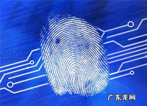 六大生物识别技术 生物识别方法有哪几种