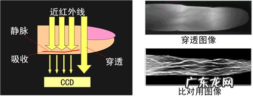 六大生物识别技术 生物识别方法有哪几种