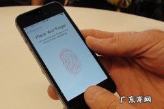 六大生物识别技术 生物识别方法有哪几种