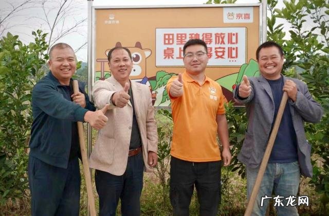 京喜11.11省钱节10月25日正式启动