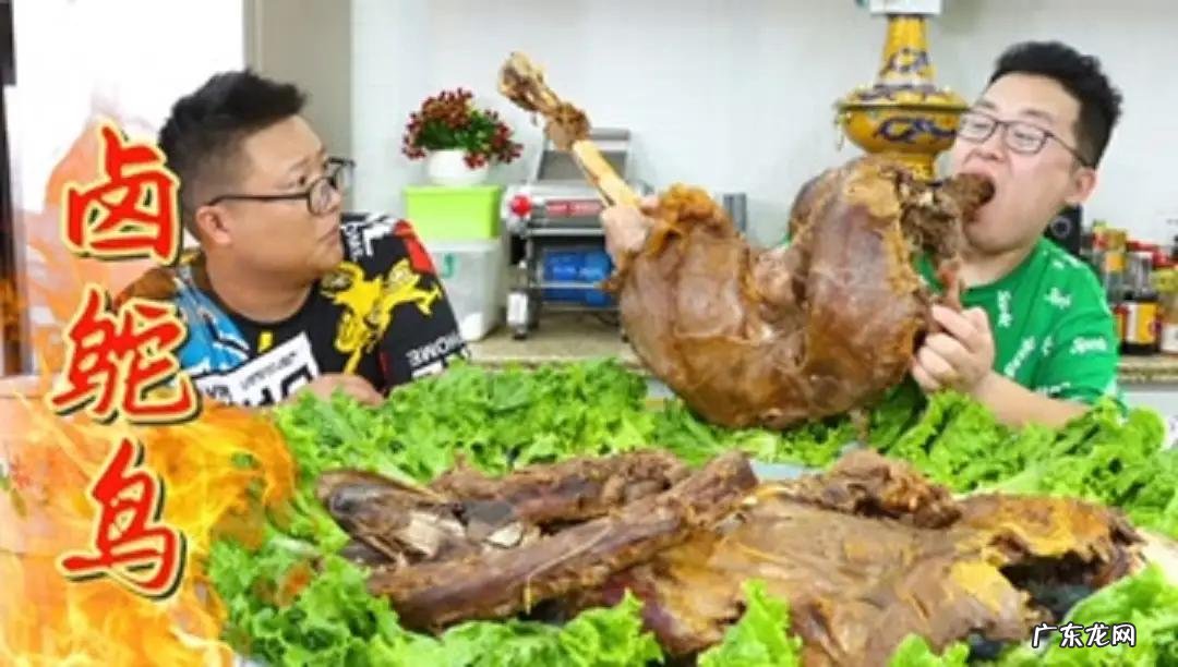 半吨先生是哪里人?一年挣多少钱?