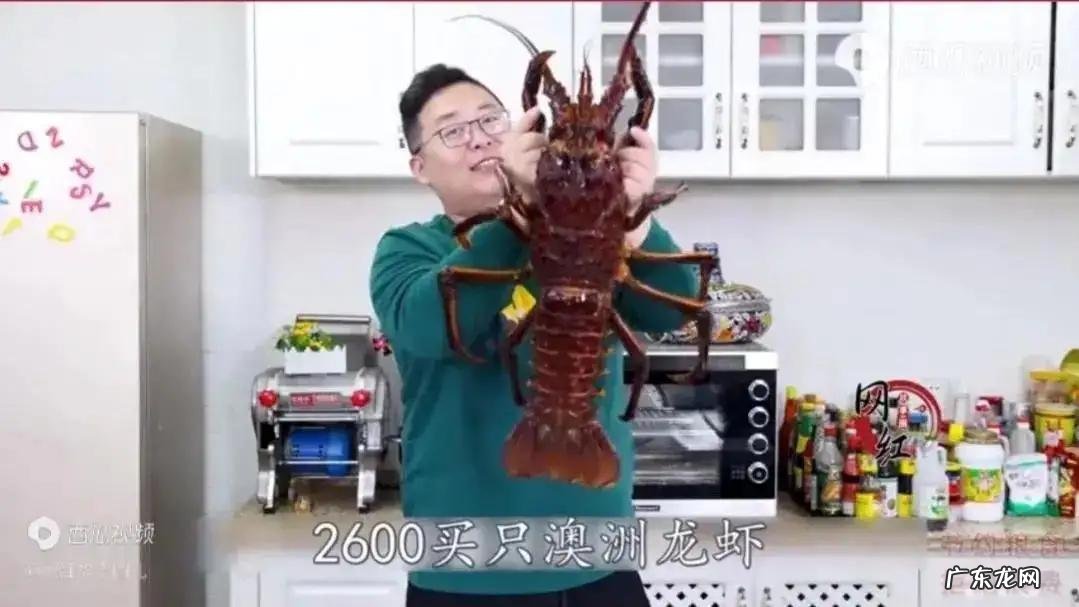 半吨先生是哪里人?一年挣多少钱?