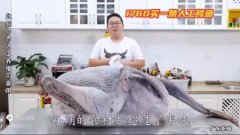 半吨先生是哪里人？一年挣多少钱？