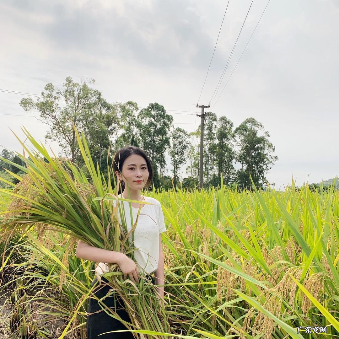 办公室小野停更原因 办公室小野为什么不更新视频了
