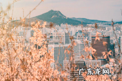 2021年天猫双11消费券在哪查看？活动时间是多久？