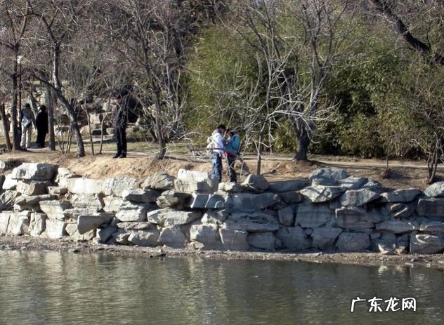 树立正确恋爱观的重要性 当代大学生应该怎样树立正确的爱情观