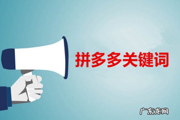 拼多多关键词怎么出价？必读的出价判定因素