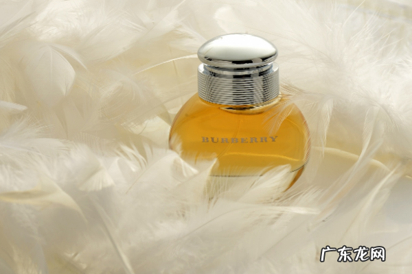 香水品牌排行榜前十名 香水加盟店排行榜