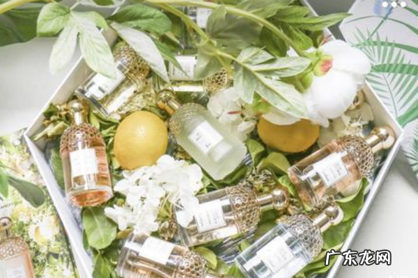 香水品牌排行榜前十名 香水加盟店排行榜