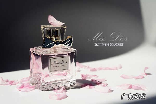 香水品牌排行榜前十名 香水加盟店排行榜