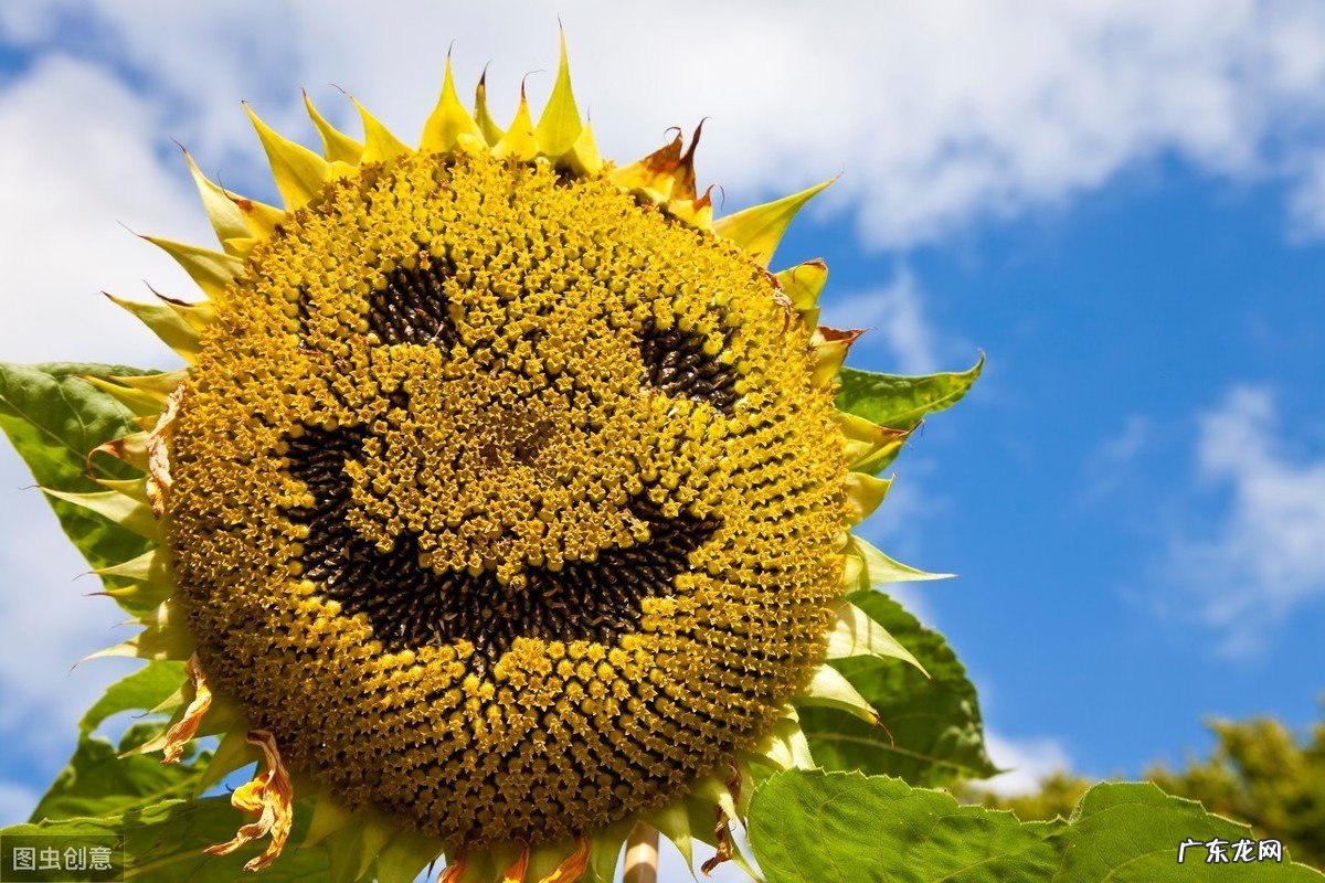 PSP维修经历分享 PSP哪里可以维修