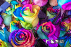 抖音直播化妆品为什么那么便宜？能买吗？