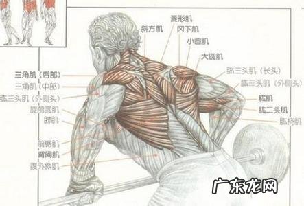 练完硬拉之后完成不了杠铃划船怎么办？