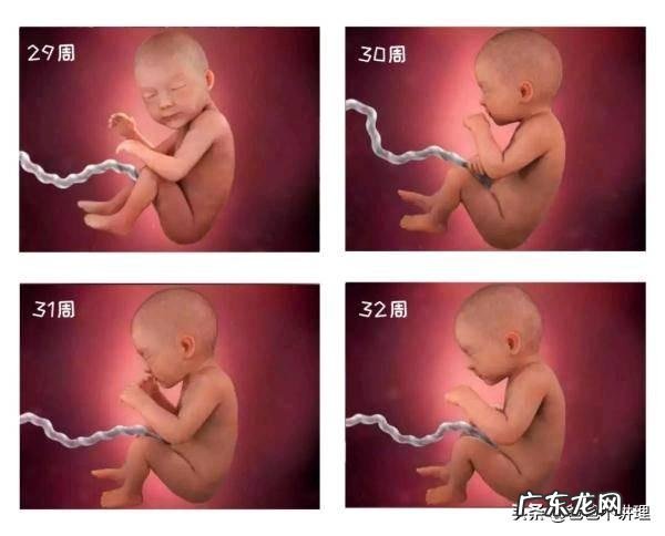 31周检查胎儿偏小一周咋整,吃啥补呢?