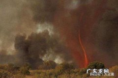 火龙卷多功能熏蒸仪多少钱 火龙卷