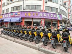 共享电动车市场发展前景分析 电动车连锁加盟项目怎么样