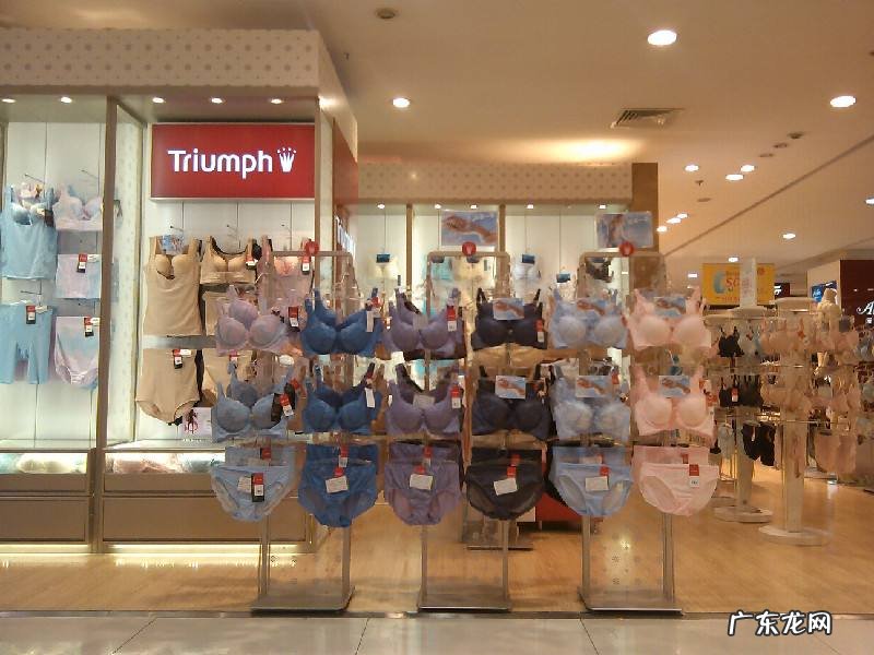 黛安芬内衣加盟费用及条件 黛安芬内衣是几线品牌