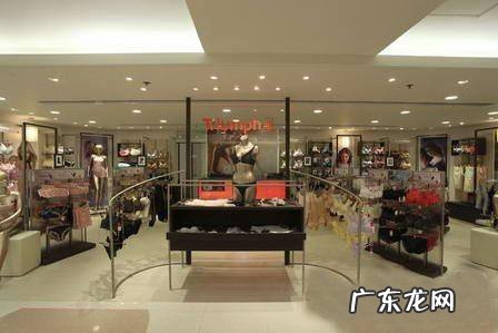 黛安芬内衣加盟费用及条件 黛安芬内衣是几线品牌