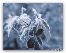 取暖器哪种加热方式好？取暖器选购要注意哪些？