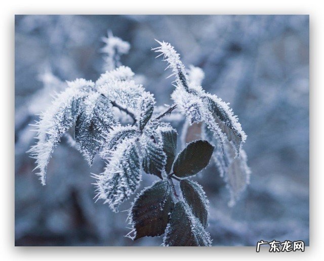 取暖器哪种加热方式好?取暖器选购要注意哪些?