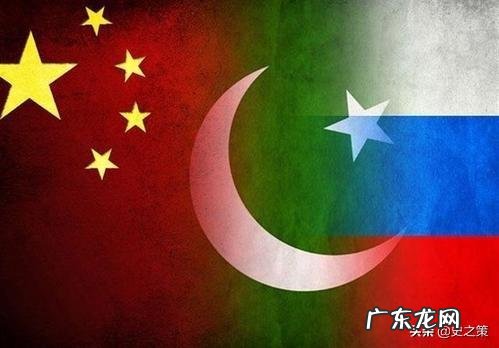 前几天新闻说巴铁兄弟被蝗虫侵袭,现在怎么样了