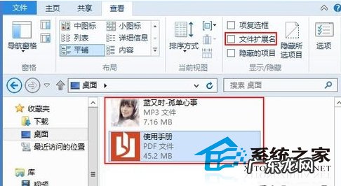 Windows8显示或隐藏文件扩展名的技巧