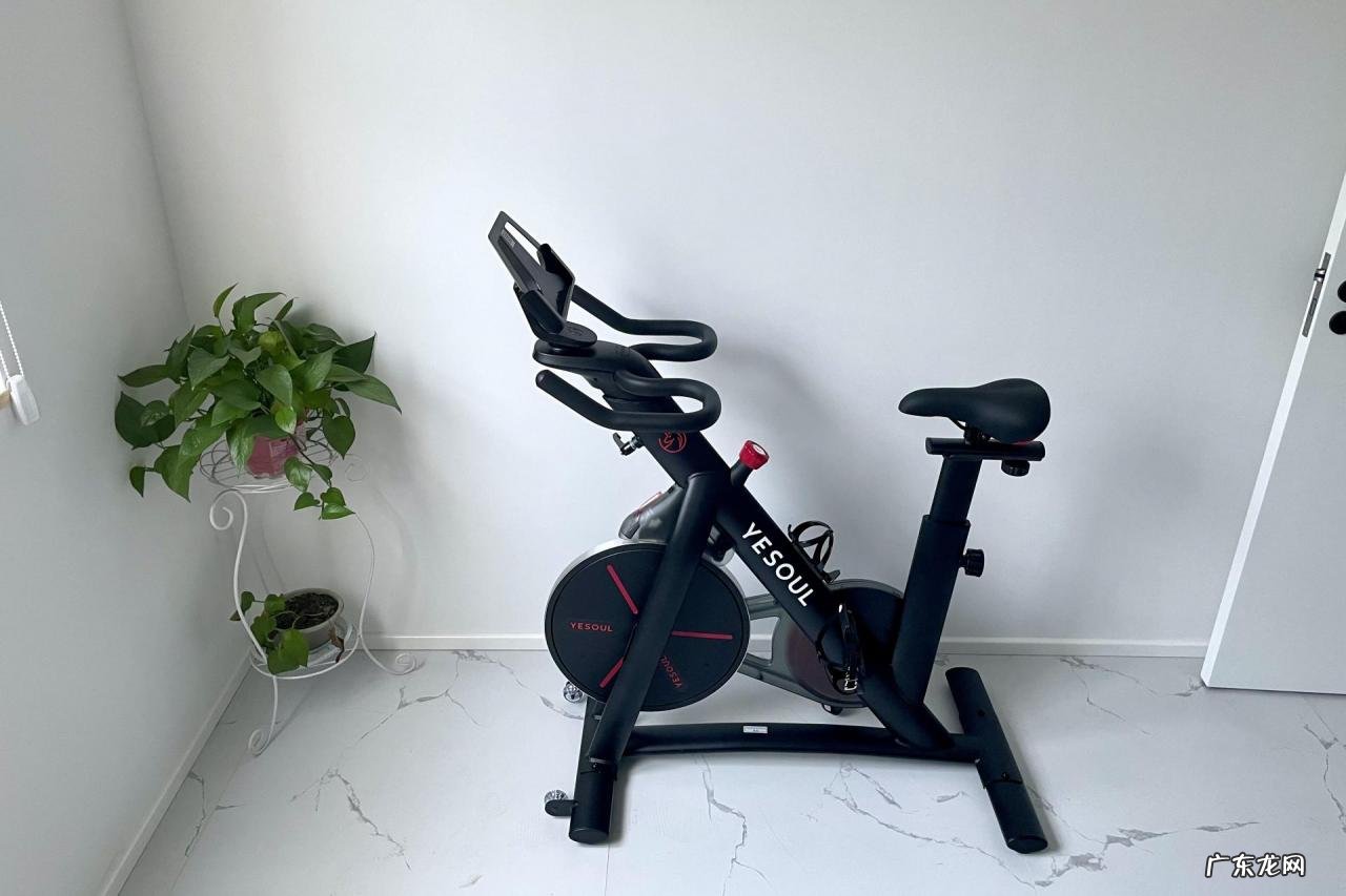 动感单车品牌推荐 家用动感单车哪种好