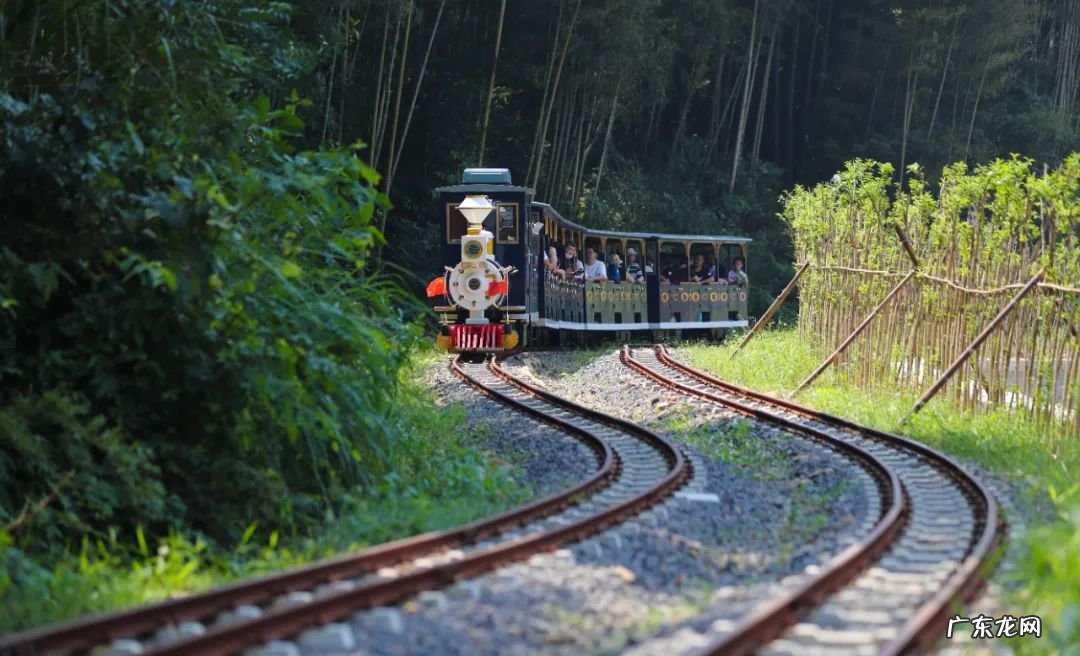 杭州哪里有蹦极的地方?多少钱?