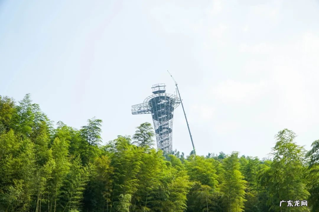 杭州哪里有蹦极的地方?多少钱?