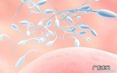 正确备孕的技巧-备孕该从生理心理都准备