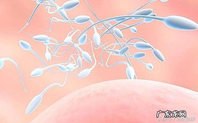 正确备孕的技巧-备孕该从生理心理都准备