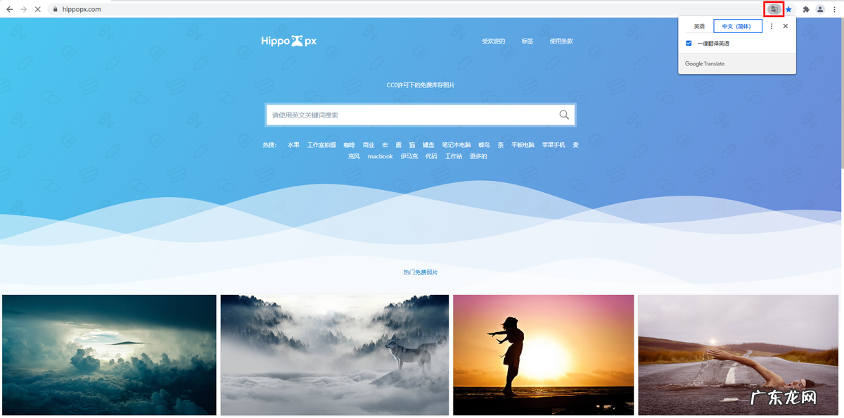 什么翻译软件好用?那个翻译软件准确度高?