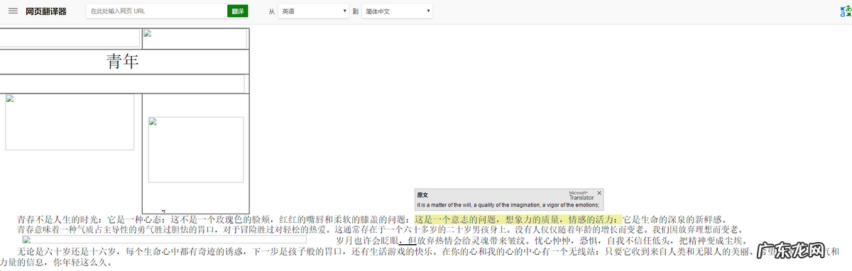 什么翻译软件好用?那个翻译软件准确度高?