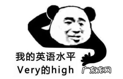 什么翻译软件好用?那个翻译软件准确度高?