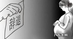 山东二胎产假 山东二胎