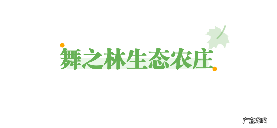 长沙实惠酒店推荐 长沙实惠酒店的酒店有哪些