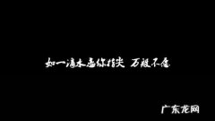 就在一夜之间歌词 一夜之间歌词