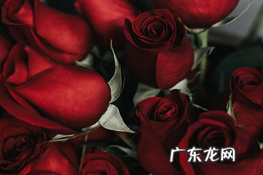 抖音团长需要投资吗?还需要缴纳保证金吗?