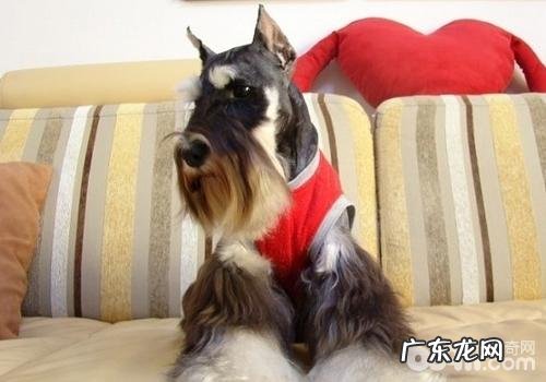 怎样治疗化学纤维软骨组织血栓形成脊髓病