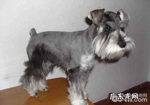 化学纤维软骨组织血栓形成脊髓病有哪些症状