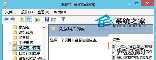 取消用户名和密码的自动完成功能 Win8如何取消密码明文显示功能