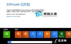 Win8系统下如何使用IE11浏览器保护隐私安全