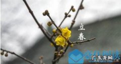 2021年立春是几月几号几点几分交春 2021年立春是几月几号几点几分